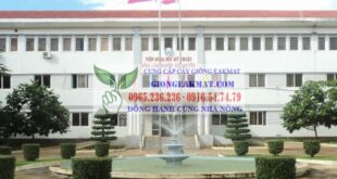 GIỚI THIỆU VIỆN EAKMAT