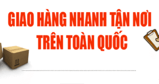 Hình thức vận chuyển và giao nhận